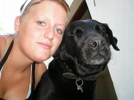 Labrador retriever Zulu (mors hund) - Gadagung gadagung rundt i haven... billede 10