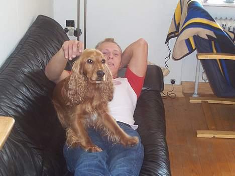 Cocker spaniel zenta - her kommer den lille baby frem i hende.... billede 5