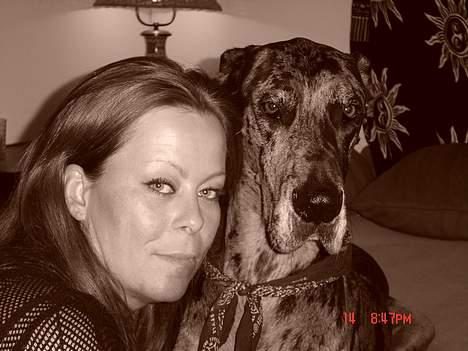 Grand danois Carla himmelhund - hva mor!!! hvem tar` vi billede af.... dig eller mig!!!! billede 14