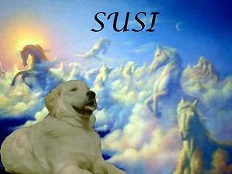 Golden retriever Susi - flot ikk ? tak til hende der har lavet det ! billede 11