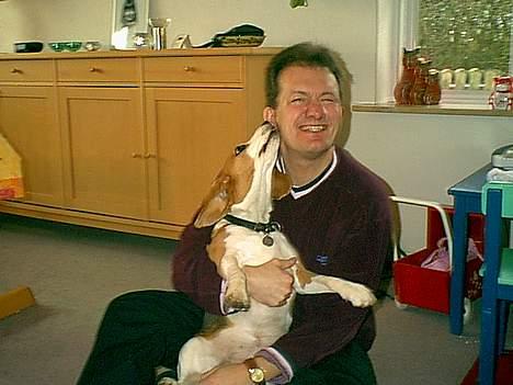 Beagle Sille - Sille elsker at slikke min far lige i øret..uhm.. billede 15