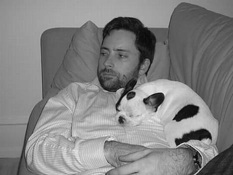 Fransk bulldog Anton billede 9