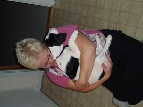 Blanding af racer Molly - " et kram er altid godt :o) " billede 2