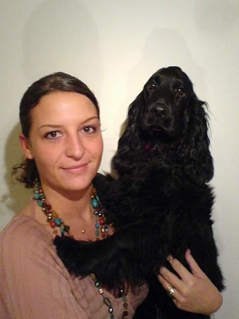 Cocker spaniel *Olsen - Mig og mor billede 11