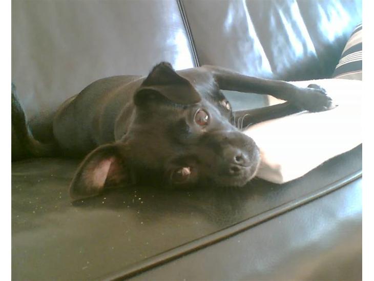 {{currentPhoto.altText}} billede {{currentPhoto.number}}