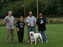 Amerikansk bulldog Magrethelunds Basso