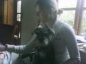 Dvaergschnauzer Silver <33 ~miin elskede dreng ~