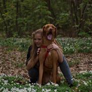 Rhodesian ridgeback Kinyemi Luka F'lora