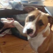 Blanding af racer tulle