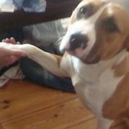 Blanding af racer tulle