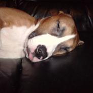 Blanding af racer tulle