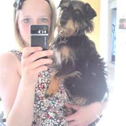 Blanding af racer Frida