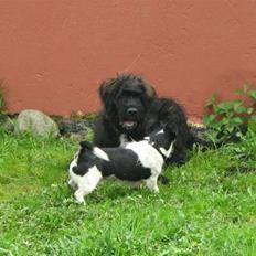 Blanding af racer Luffe