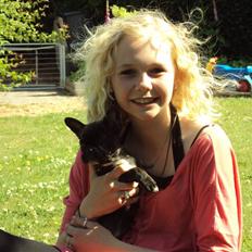 Fransk bulldog Maggi