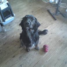 Blanding af racer Emi 