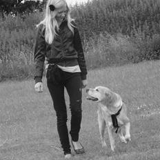 Blanding af racer Sif RIP - 2011 11 ÅR