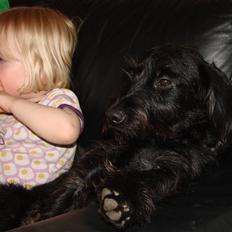 Blanding af racer ægte gravlab Emma :0)