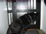 Schæferhund Isi <3 R.I.P ;´/