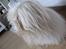 Coton de tulear Miki