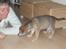 Blanding af racer Quark<3min - Min lille nysgerrige vaps...