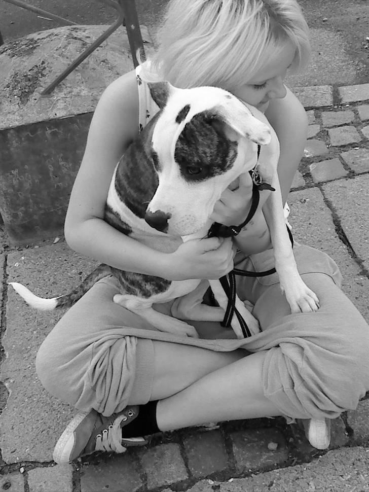 Blanding af racer Fie billede 1