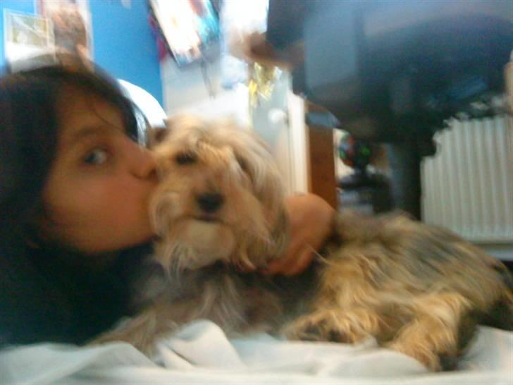 Blanding af racer Nuser *springstjernen*<3 - Miig og nuser kedet os lidt så vi tog lidt billeder (:<3 billede 17