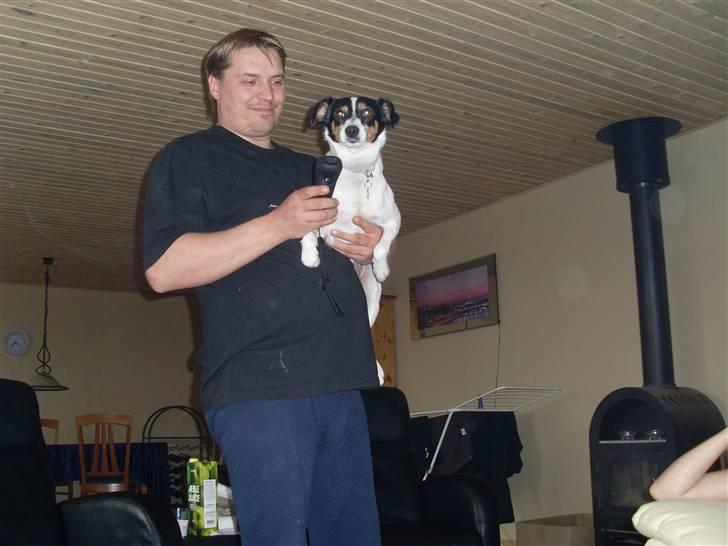 Jack russell terrier Vaks billede 4