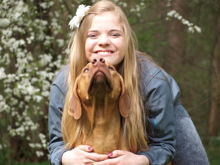 Rhodesian ridgeback Kinyemi Luka F'lora billede 3