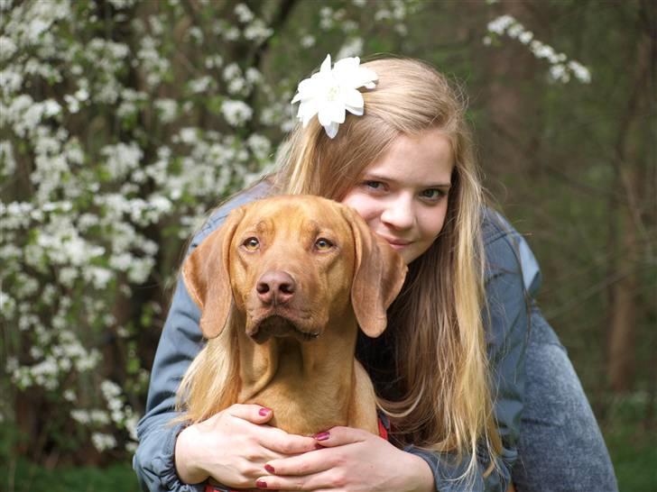 Rhodesian ridgeback Kinyemi Luka F'lora billede 14