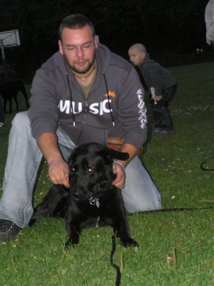 Labrador retriever Baloo (himmelhund) billede 14