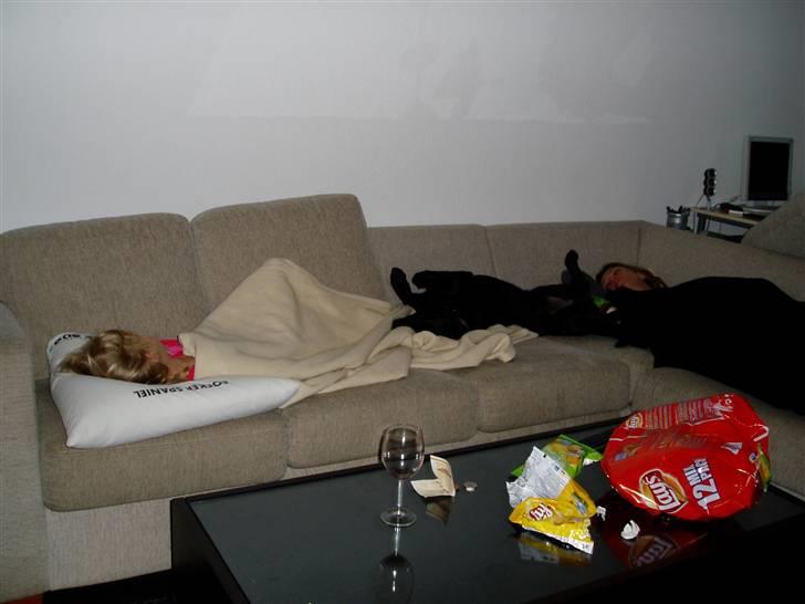 Labrador retriever Nando R.I.P - Total sofa hygge med mor og søster... Vi sov der hele natten... billede 15