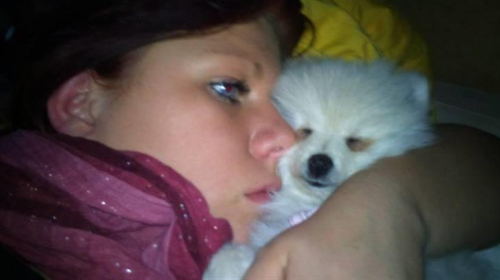 Pomeranian Saby:) (MIN) billede 9