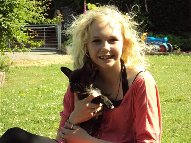 Fransk bulldog Maggi - I sommers :)  billede 3