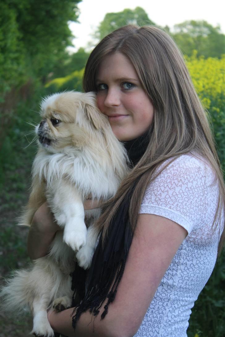 Pekingeser Anton *snaske* - Anton & Clara *mig* <3 billede 10