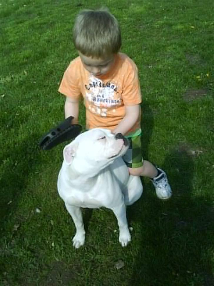 Blanding af racer Bertha - 8 mdr. billede 10