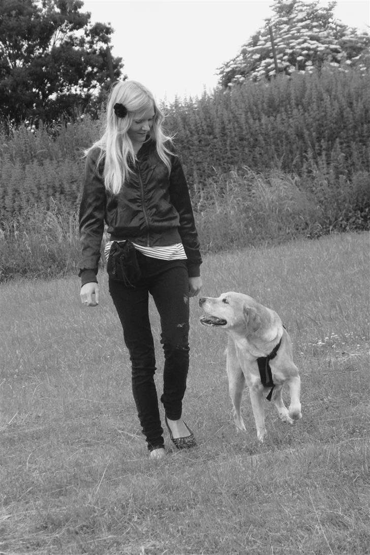 Blanding af racer Sif RIP - 2011 11 ÅR - Sif og jeg D. 6 Juli 2010. Fri ved fod. Foto: Mig billede 2