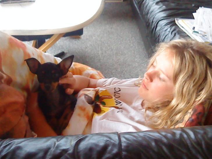 Blanding af racer Lekxi ¤MIT ALT¤ billede 6