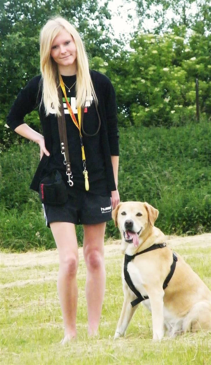 Blanding af racer Sif RIP - 2011 11 ÅR - Sif og jeg D. 22 Juni 2010 - Dagen før vi skal til eksamen. :D Foto: Min søster billede 20