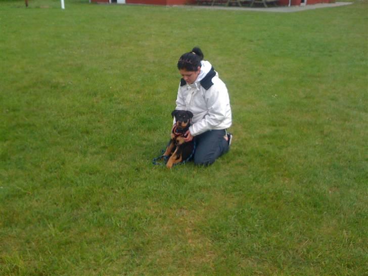 Rottweiler Simba R.I.P billede 6