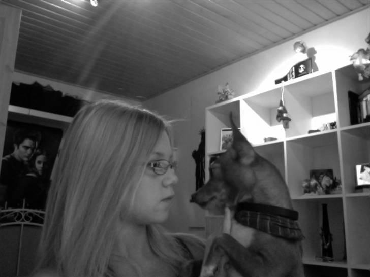 Blanding af racer Valdemar<3 - ÅRR Valdemar du har så nogle smukke og dejlige øjne..<3  billede 18