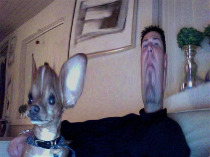 Blanding af racer Valdemar<3 - En drømmehund Valdemar, med min far. :*  billede 19