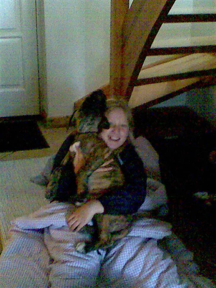 Blanding af racer bølle billede 8