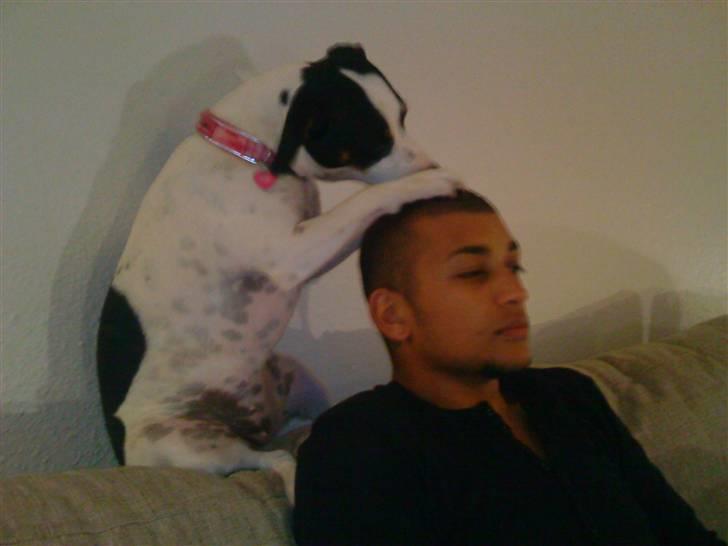 Blanding af racer Ea - Der er ikke noget bedre end aften-rengøring:) Især når far gider at sidde stille.. billede 8