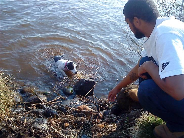 Blanding af racer Ea - Jeg elsker at være med ved søen og bade:) billede 9