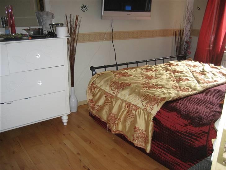 Yorkshire terrier Madonna ( Donna pigen ) billede 7