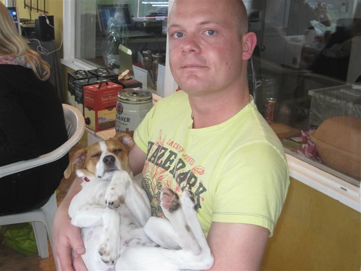 Blanding af racer Luna Sofia - luna er gået kold ved onkel torben, efter fødselsdagsfest billede 16