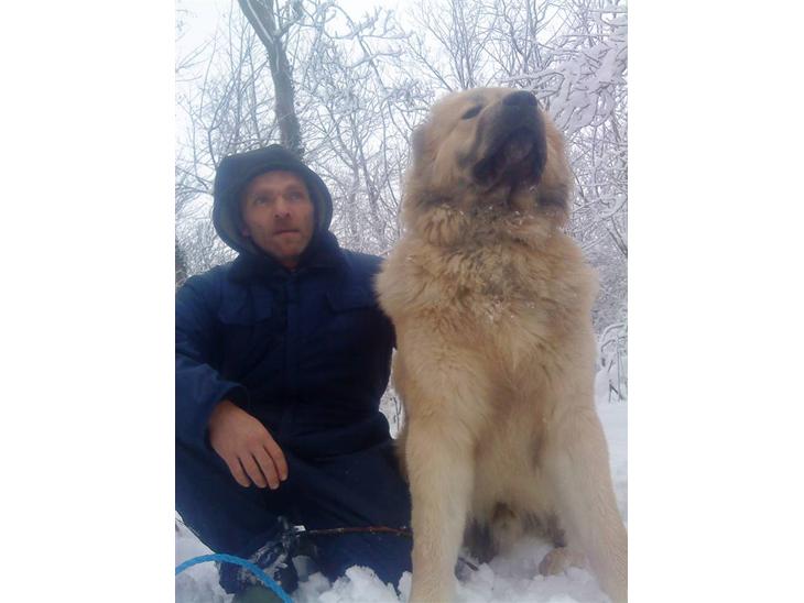 {{currentPhoto.altText}} billede {{currentPhoto.number}}