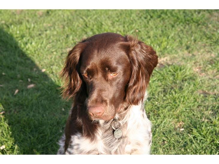 {{currentPhoto.altText}} billede {{currentPhoto.number}}