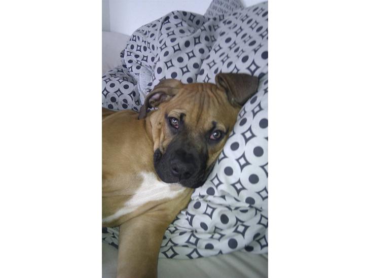 {{currentPhoto.altText}} billede {{currentPhoto.number}}