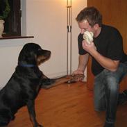 Rottweiler Vom Hause Luna´s Gonzzo